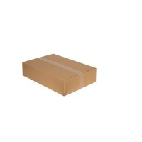 Karton 550 x 380 x 120mm (Qualität 1.30 B)